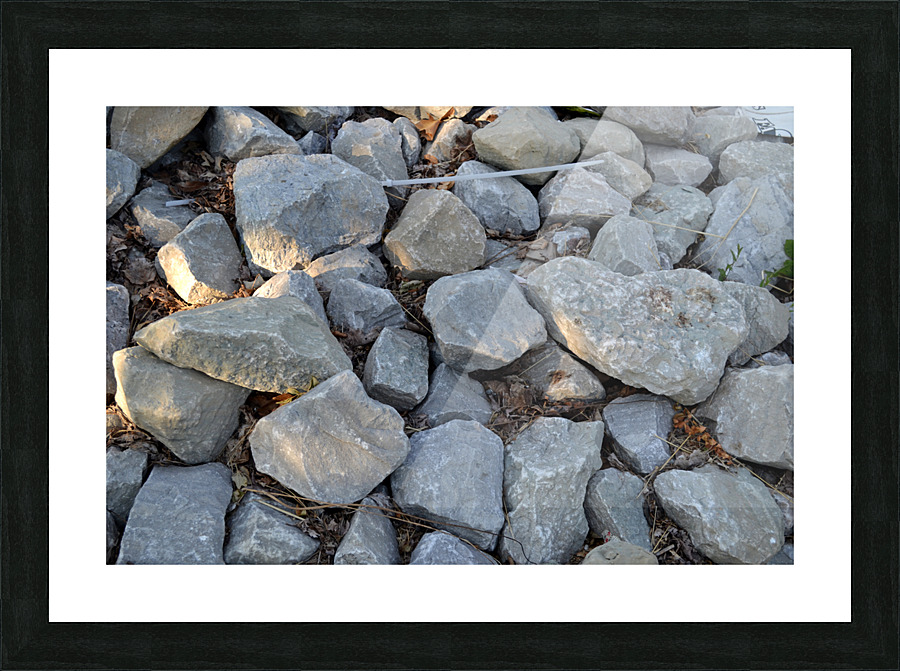 DSC 0044 02 Picture Frame print