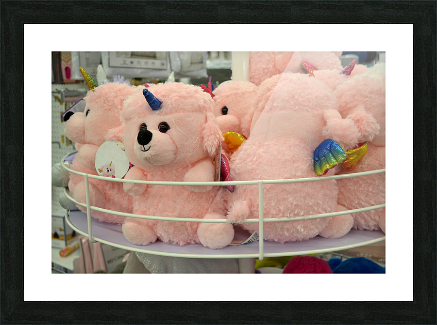 DSC 0031 Picture Frame print