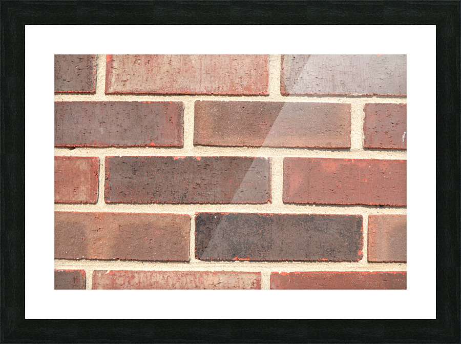 DSC 0011 Picture Frame print