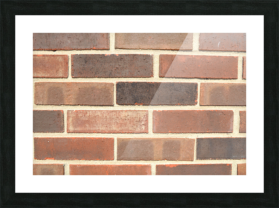 DSC 0010 02 Picture Frame print