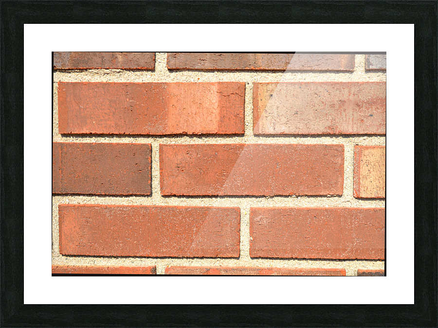 DSC 0004 Picture Frame print