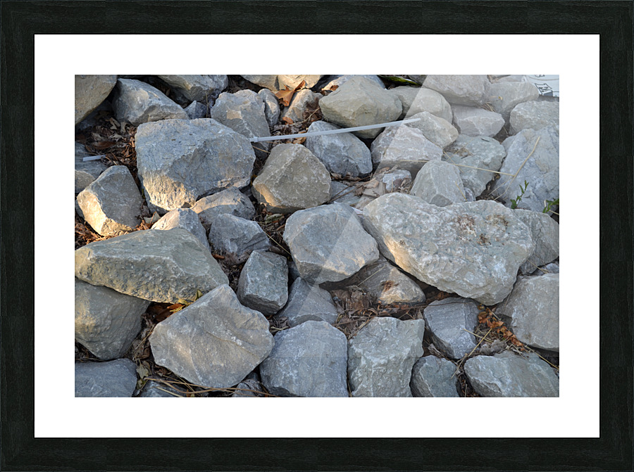 DSC 0045 Picture Frame print