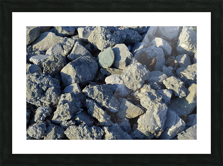 DSC 0048 02 Picture Frame print