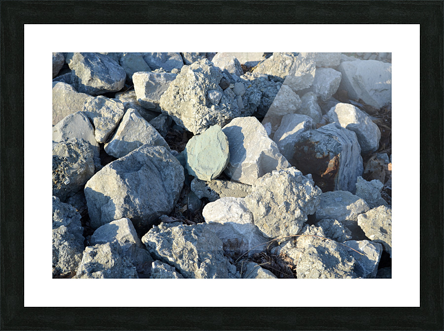 DSC 0049 Picture Frame print