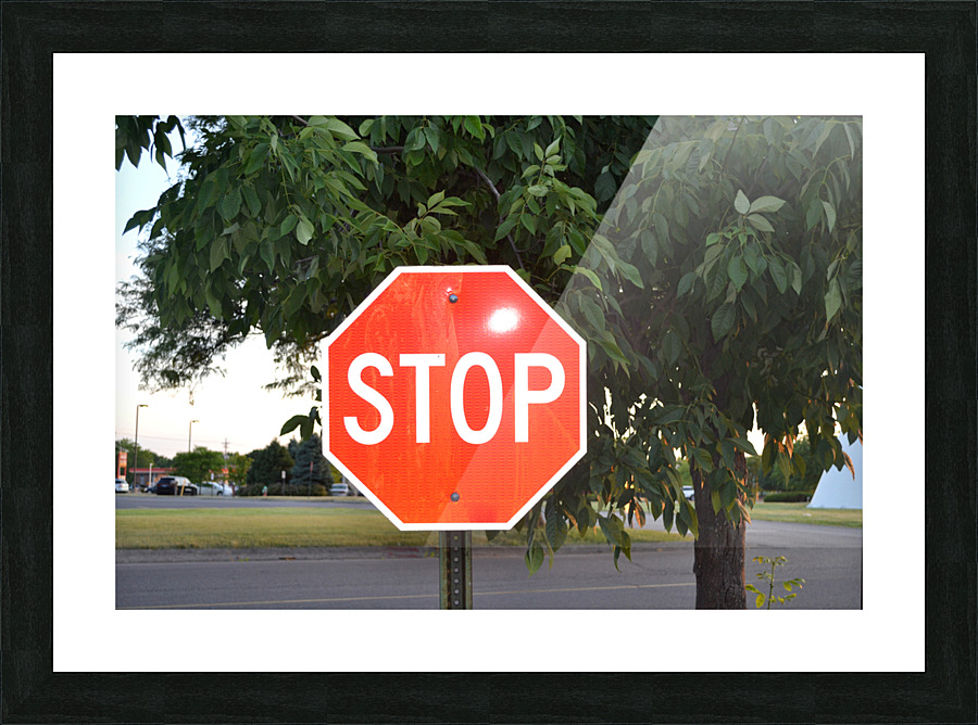 DSC 0085 Picture Frame print