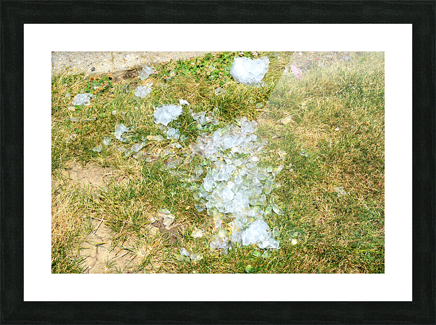 DSC 0048 Picture Frame print