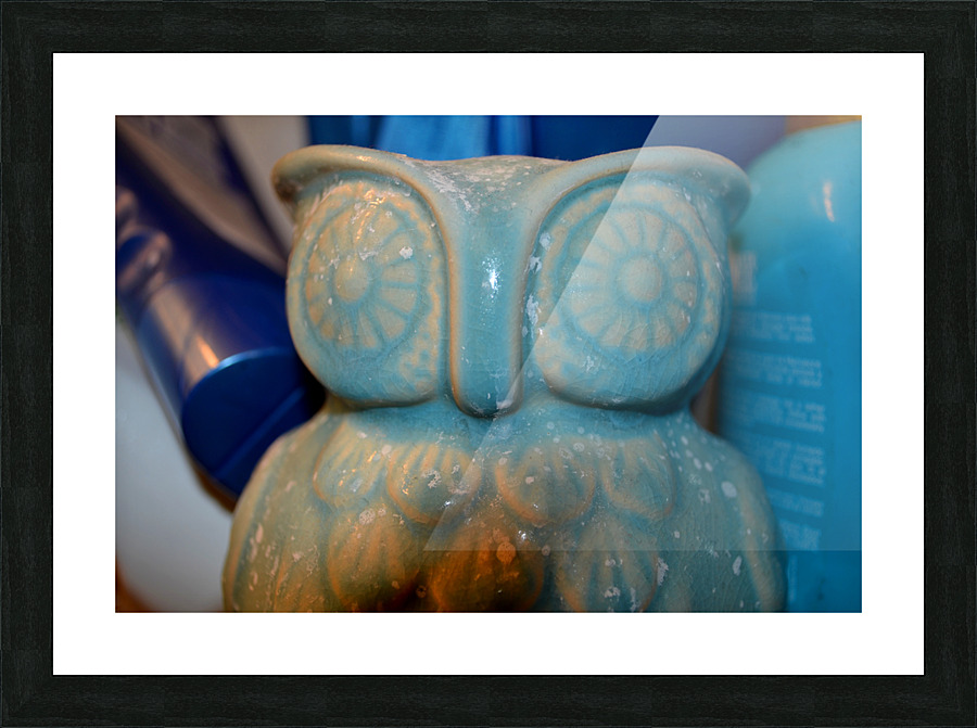 DSC 0030 Picture Frame print