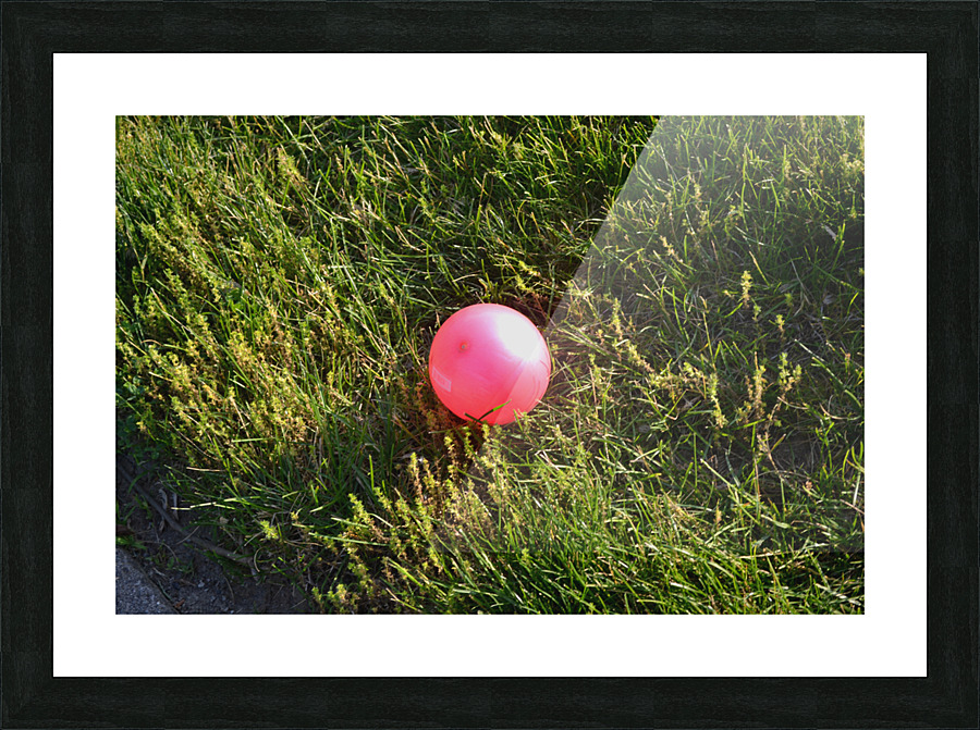 DSC 0069 Picture Frame print