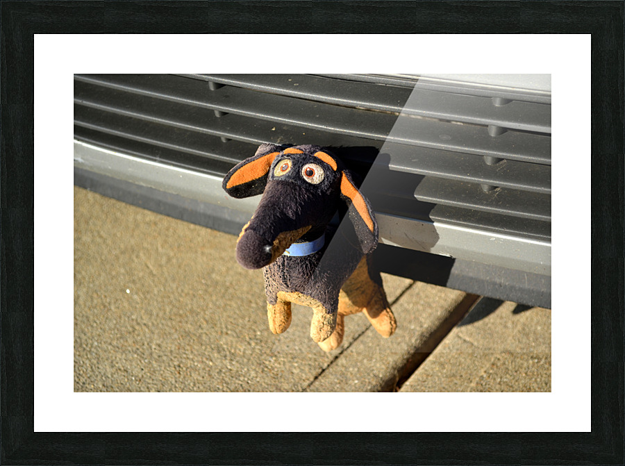 DSC 0290 Picture Frame print