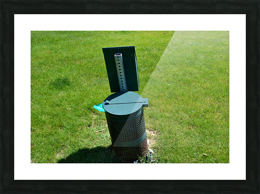 DSC 0496 Picture Frame print