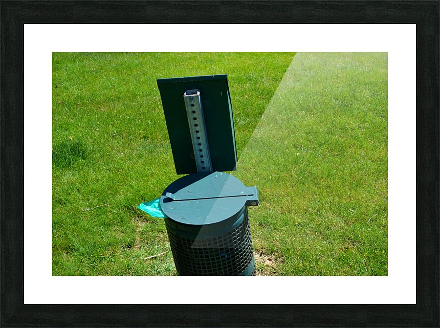 DSC 0499 Picture Frame print