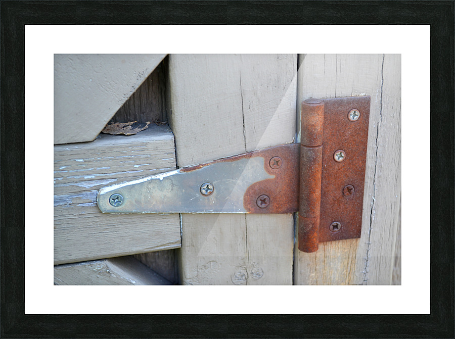 DSC 0330 Picture Frame print