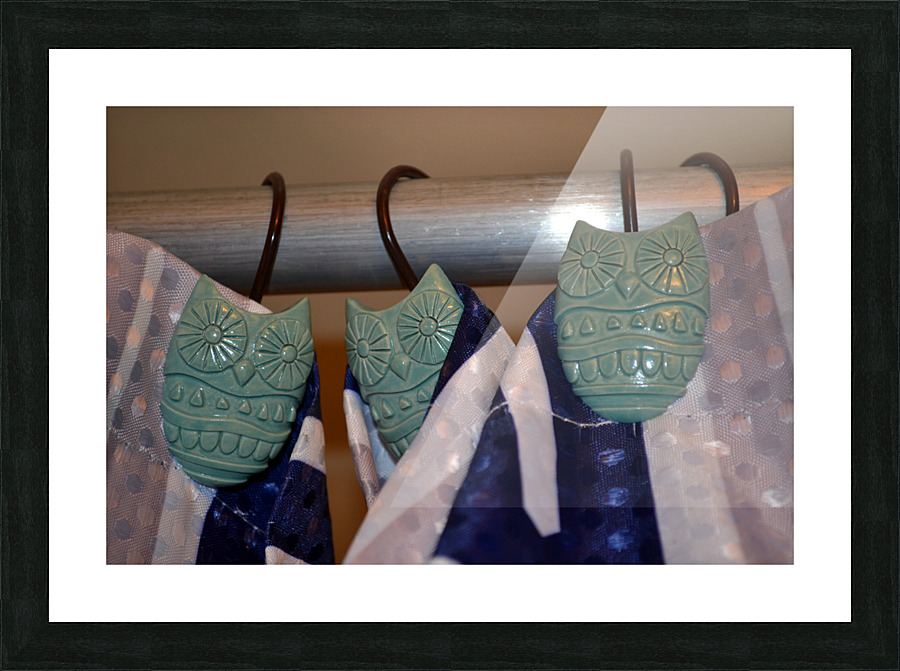 DSC 0035 Picture Frame print