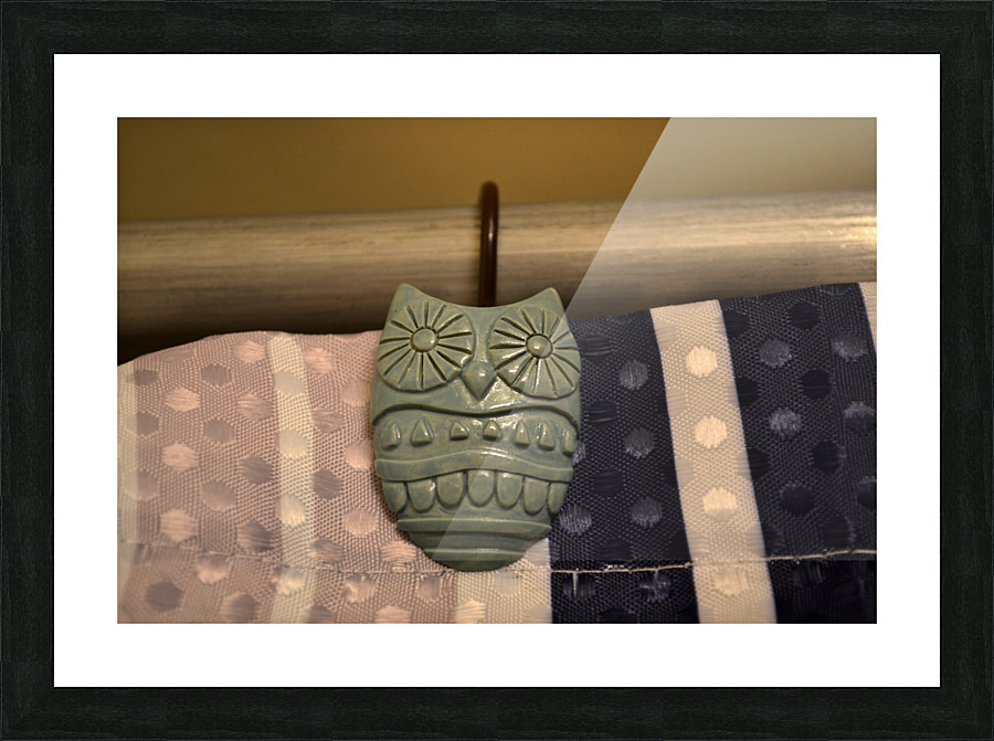 DSC 0029 Picture Frame print