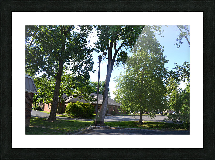 DSC 0314 Picture Frame print