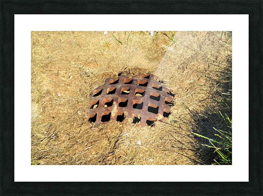 DSC 0100 Picture Frame print