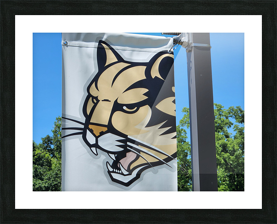20220628 154056 Picture Frame print