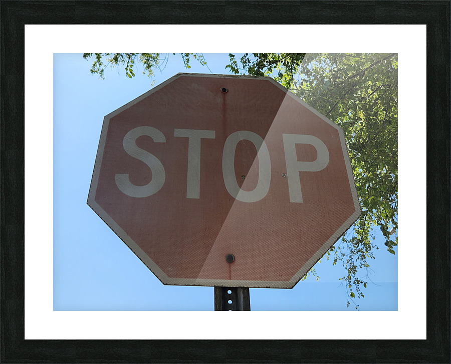 20220628 154354 Picture Frame print