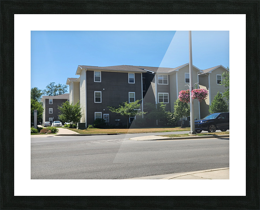 20220628 154358 Picture Frame print
