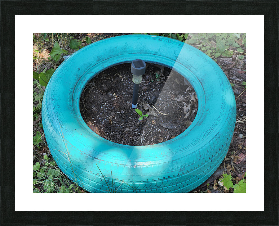 20220630 150522 Picture Frame print