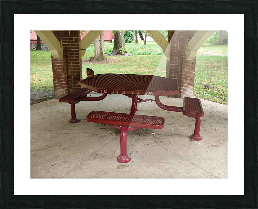 20220701 172813 Picture Frame print