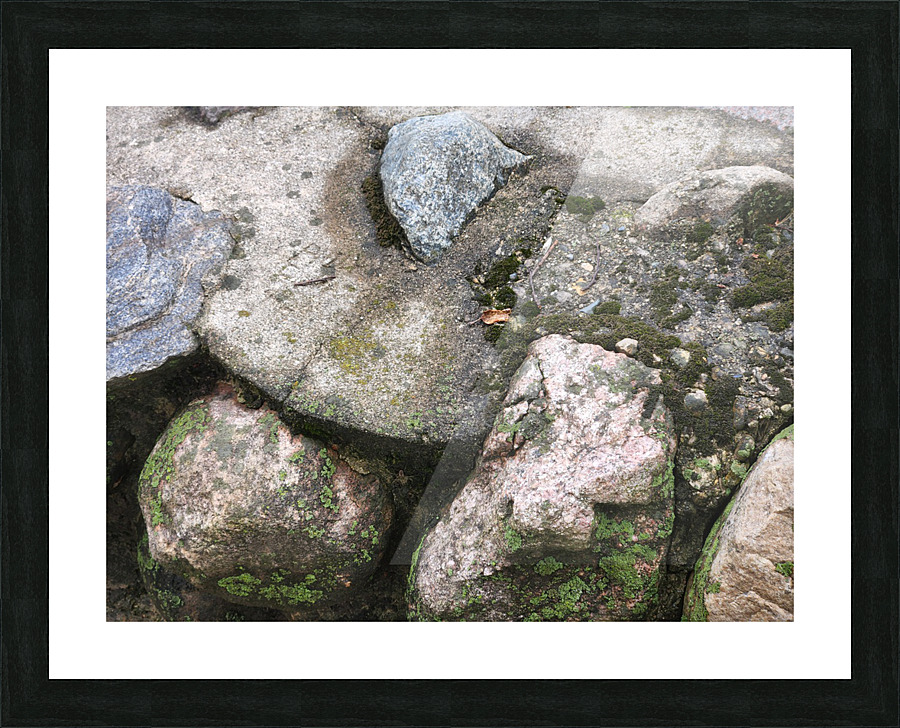 20220701 172432 Picture Frame print