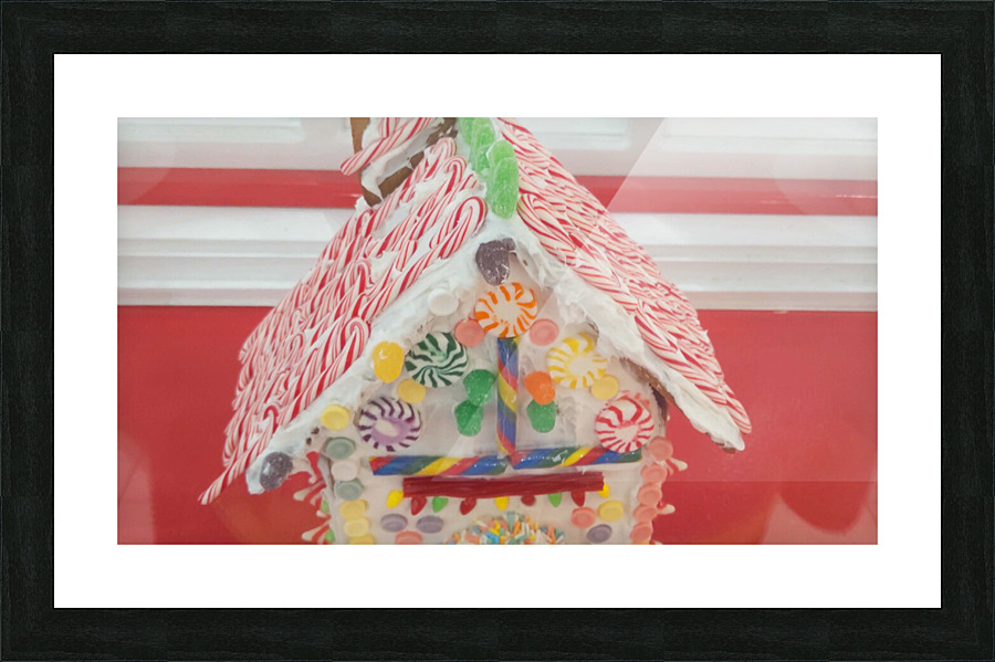 vid11 Picture Frame print