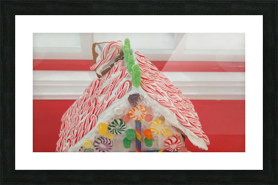 vid10 Picture Frame print