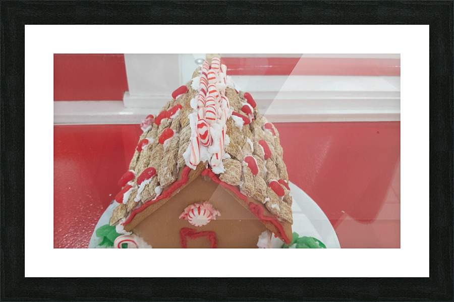 vid2 Picture Frame print
