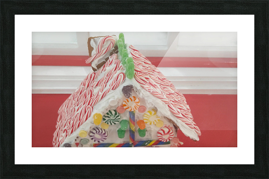 vid1 Picture Frame print