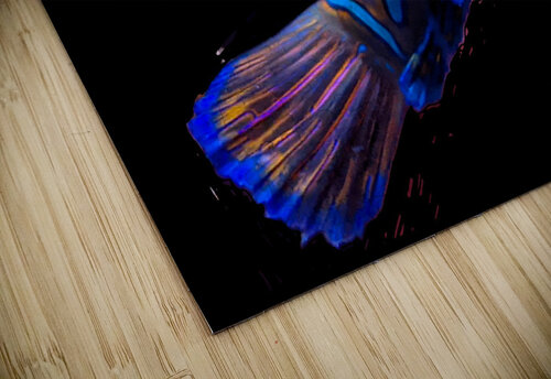 BlueFish Kelly Marie Johnson puzzle
