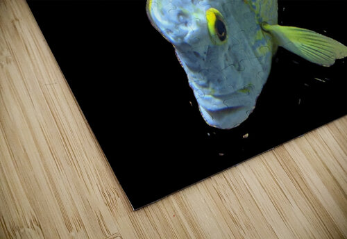 BlueYellowFish Kelly Marie Johnson puzzle