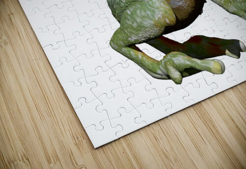 Greenfrog Kelly Marie Johnson puzzle