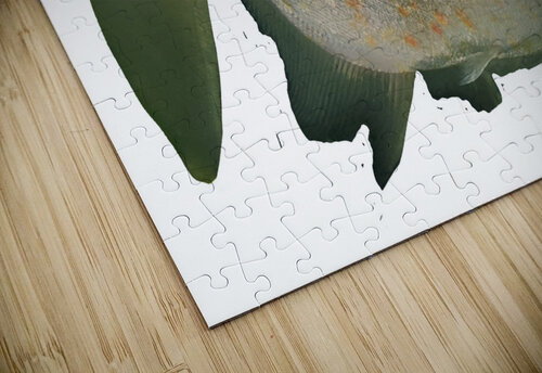 GreenFishwithSpecs Kelly Marie Johnson puzzle