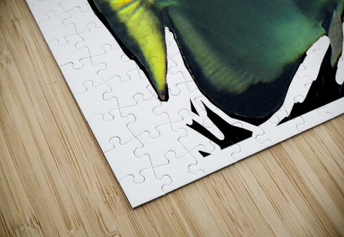 Fish02 Kelly Marie Johnson puzzle