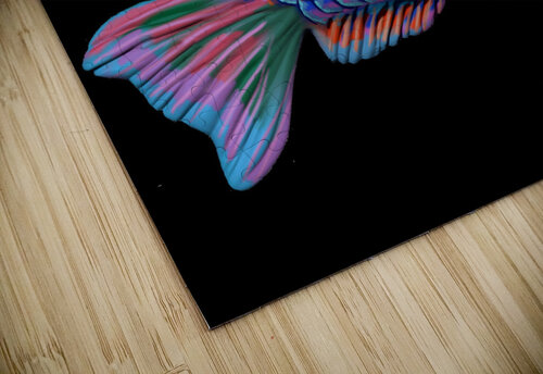 kelly johnson fishconcept1 Kelly Marie Johnson puzzle