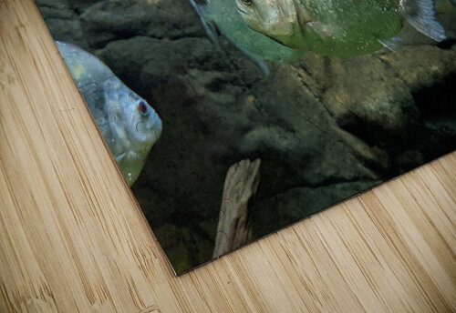 GlitterGreenFish Kelly Marie Johnson puzzle