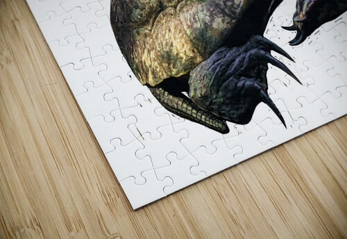 Turtle2 Kelly Marie Johnson puzzle