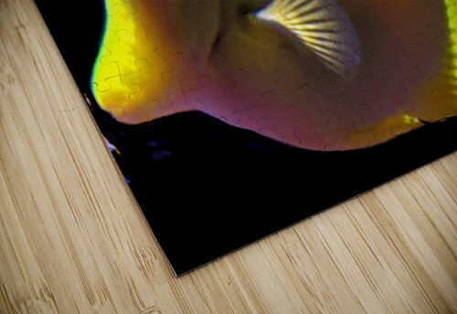 YellowFish3 Kelly Marie Johnson puzzle