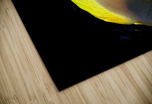 YellowFish Kelly Marie Johnson puzzle