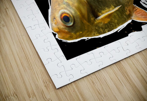 YellowFishCharacter3 Kelly Marie Johnson puzzle