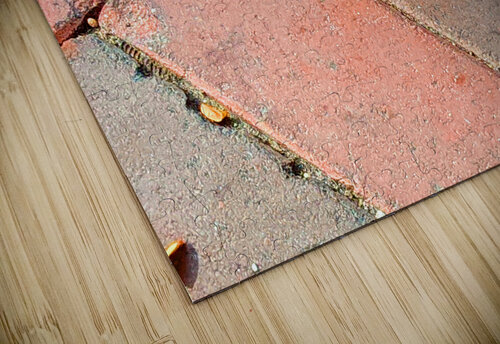 Bird Kelly Marie Johnson puzzle