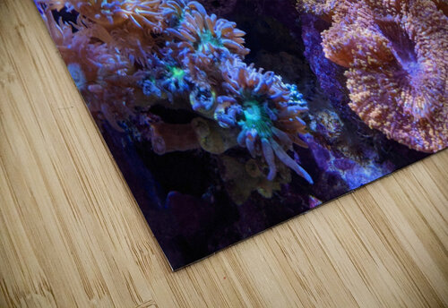 AquariumFishTank2 Kelly Marie Johnson puzzle