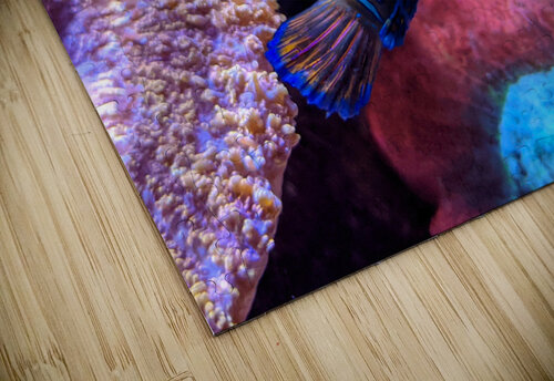 BlueFish Kelly Marie Johnson puzzle