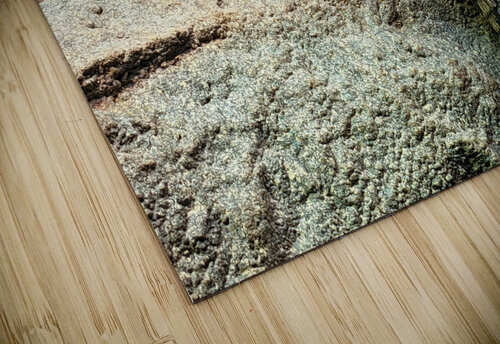 Crocodiles Kelly Marie Johnson puzzle