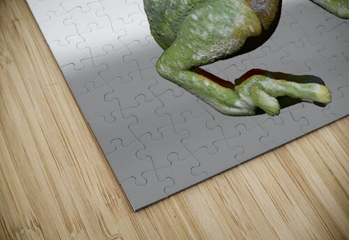 kelly johnson frog6 Kelly Marie Johnson puzzle