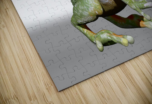 kelly johnson frog2 Kelly Marie Johnson puzzle