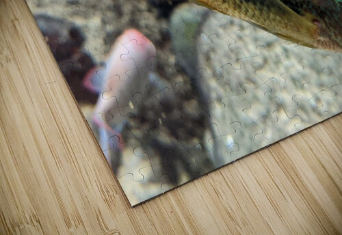 GreenOrangeFish Kelly Marie Johnson puzzle