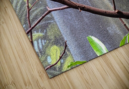 GreenBird Kelly Marie Johnson puzzle