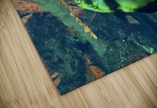 GreenFish Kelly Marie Johnson puzzle
